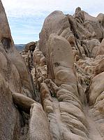 joshua tree national park (32).JPG